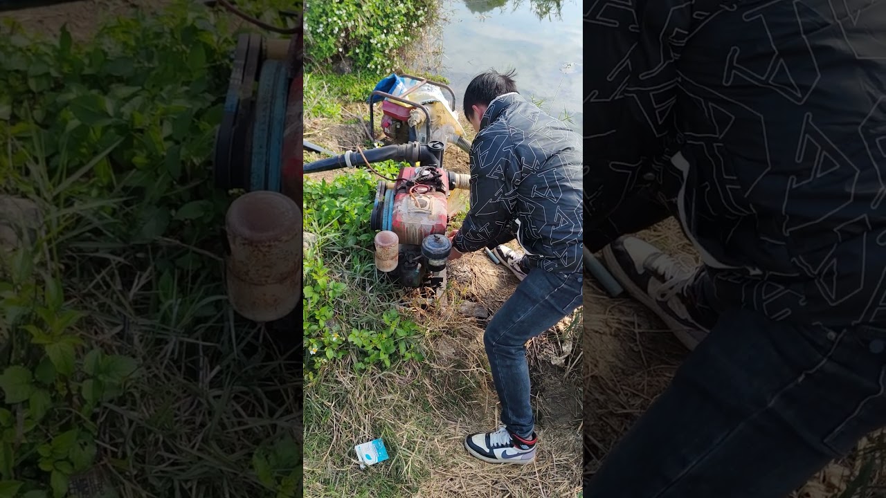 The Forbidden Childhood Song: Miss Susie Had a Steamboat 