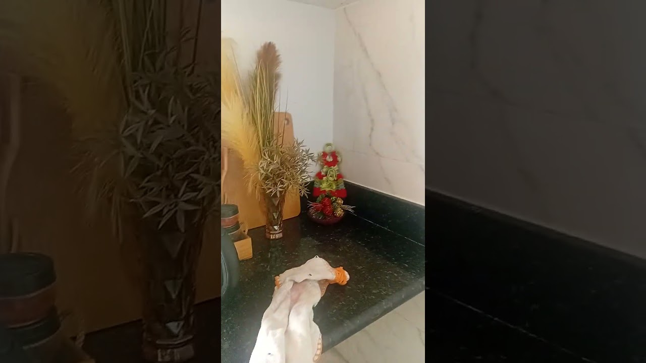 3 de janeiro de 2026