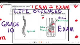 life science grade 10 term 2
