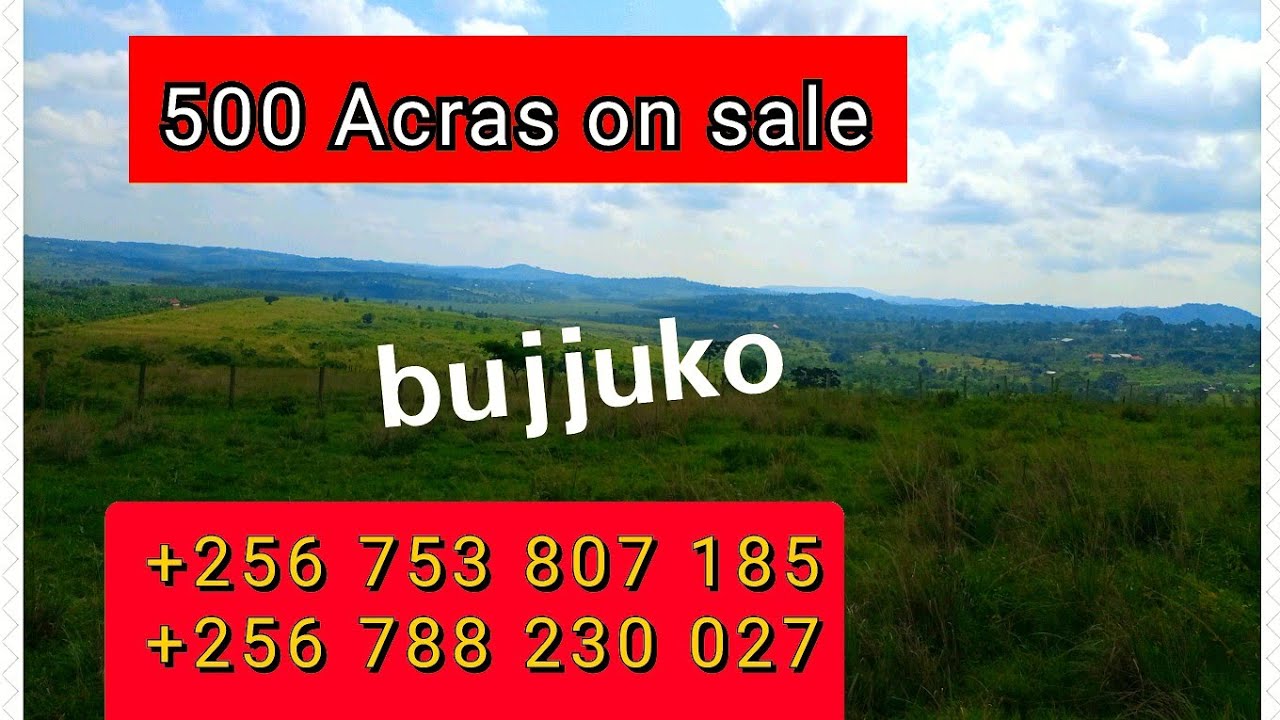500 ACRES OF LAND FOR SALE IN BUJJUKO MITYANA RD UGANDA YouTube 500-acres-of-land-for-sale-in-bujjuko-mityana-rd-uganda-youtube