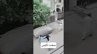 Ali hb news 786 | Hard Robbery in Gulshan Iqbal #Shorts #Robbery #Karachi