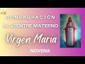 Consagracin al vientre materno de l virgen mara novena virgenmara divinamaternidad magnificat