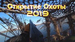 Открытие Охоты 2019