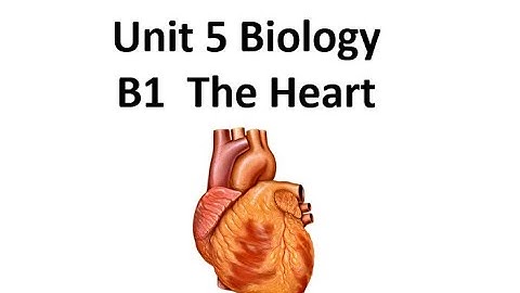 BTEC Applied Science: Unit 5 B1 The Heart