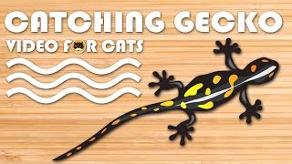 Cat Games - Catching Geckos | Lizards! Video For Dogs And Cats To Watch.