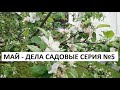 Май - дела садовые серия № 5.