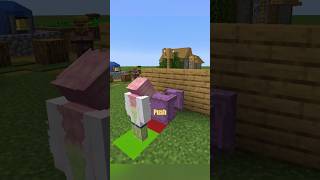 This Shulker Box Glitch Can Hide Your Secret Base 👀