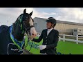 Petplan Equine Elementary Silver and Freestyle Summer Area Festival Champion:Victoria Homden & Ollie
