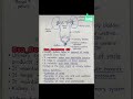 #ashortaday #biology #malereproductivesystem #malereproduction #reproduction#class11 #class12 #shots