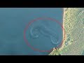 7 Mysterious Deep Sea Creatures Spotted On Google Earth 7 Mysterious Deep Sea Creatures Spotted On Google Earth