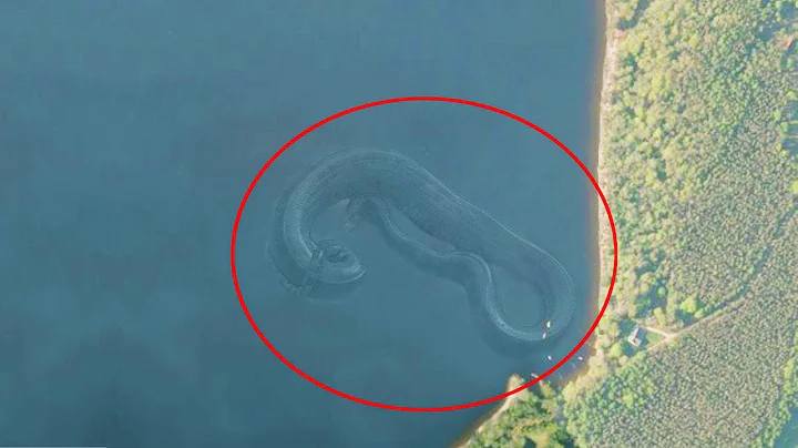 7 Mysterious Deep Sea Creatures Spotted On Google Earth - DayDayNews