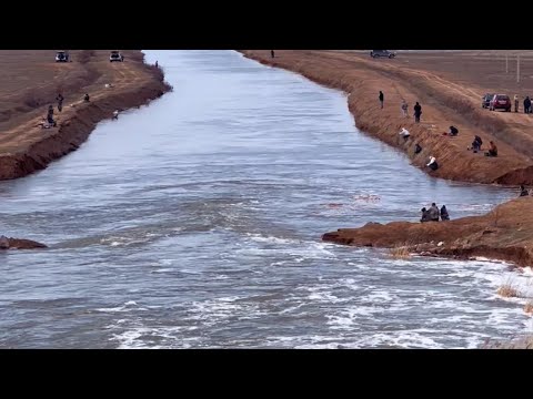 Видео: Обзор Рыбалка Майбалык г.Астана