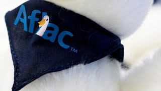 Aflac finds suspicious activity on US network that may impact Social Security numbers, other data