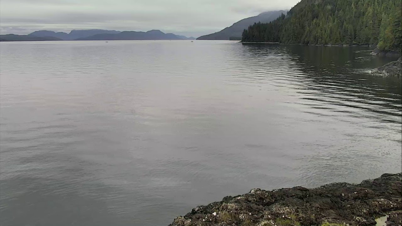 video phone beyonce mp3 Rubbing Beach Orca Lookout Cam 08-02-2018 17:03:01 - 17:30:57