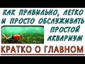 Как правильно, легко и быстро обслуживать и ухаживать за простым домашним аквариумом