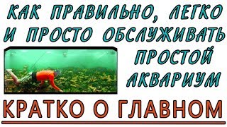 Как правильно, легко и быстро обслуживать и ухаживать за простым домашним аквариумом