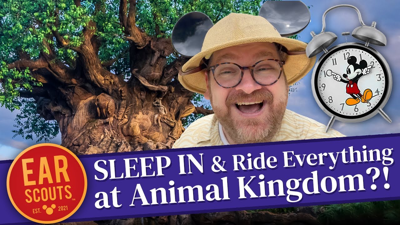 How to SLEEP IN and Still Ride EVERYTHING in Animal Kingdom at Walt Disney World Using Genie