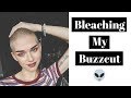 Bleaching My Shaved Head | Vegan/Cruelty Free (w Sensitive Scalp)