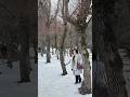 Whispers from Kashmir: बर्फ़ीली यादें ❤️| Dr Shagufta Iqbal #shorts #ytshorts #kashmir #love