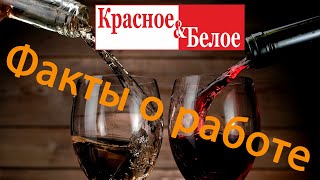 Как я работал в Красное и Белое, часть 1. Факты о работе/Сколько зарабатывал/Как жил.