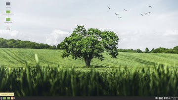 Linux Mint 20 MATE Run Through