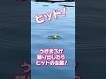 【1分でわかる】ちょい投サビキ🎣 #がまかつ #うきまろ #釣り