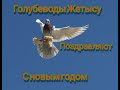 Всех Голубеводов, Голубятников,  поздравляют Голубеводы Казахстана с Жетысу. С новым годом.