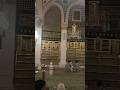 #riazuljannah #masjidenabawi #madina