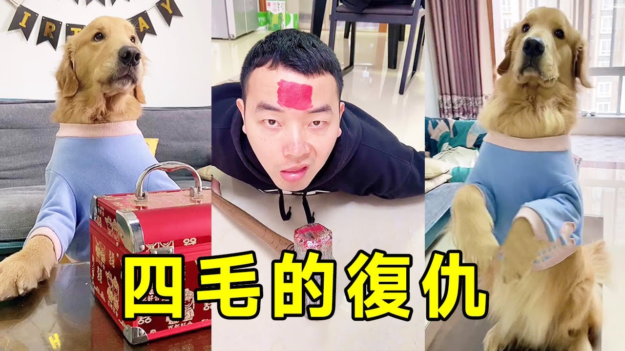 Simao, вы действительно съели вещи в доме, просто одолжите деньги вашего частного дома # Douyin Men