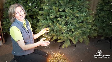 Adding Christmas Tree Lights to your Tree