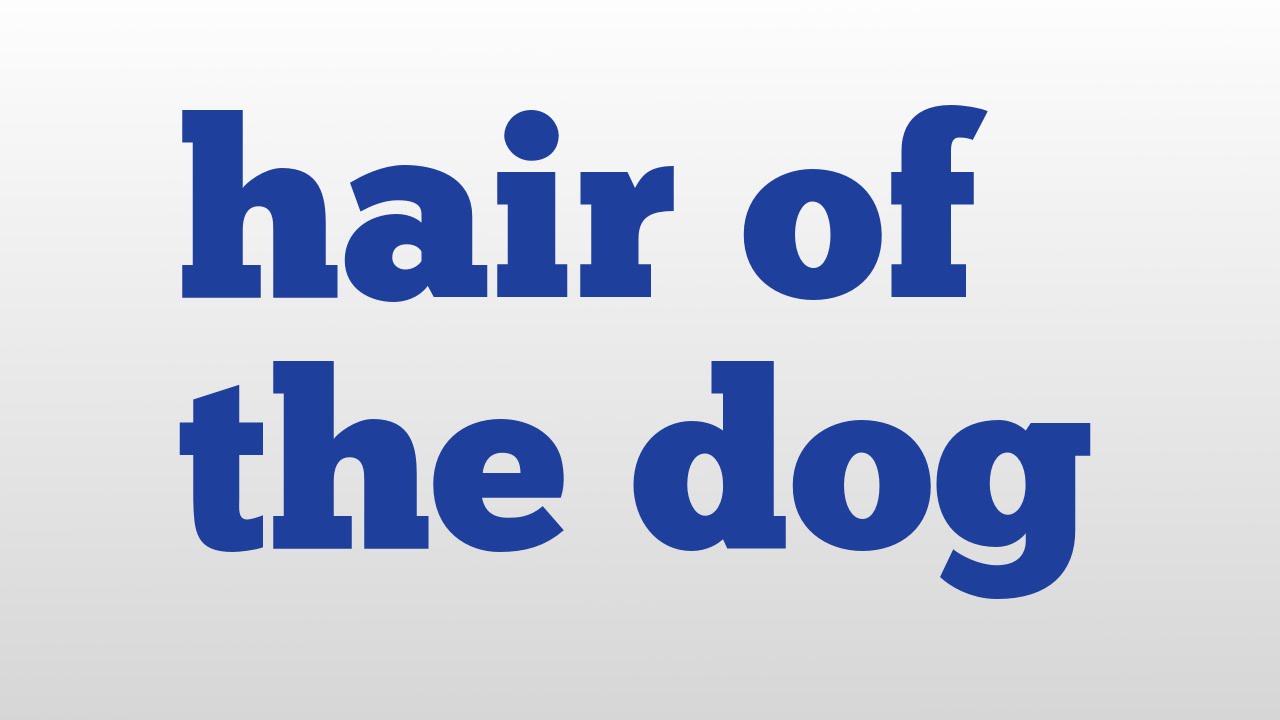 Hair Of The Dog Meaning And Pronunciation YouTube