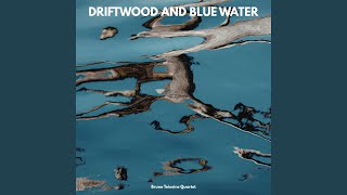 Soft Tide Rhythm