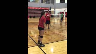 IMG 3217
