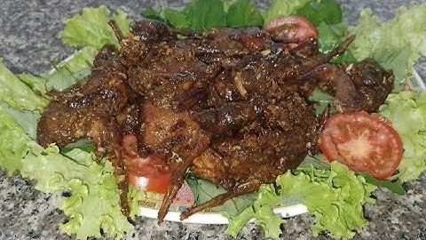 Món Chim Cúc Rô Ti Nước Dừa Tươi - Cách Làm Đơn Giản - Rất Ngon •|Út Thúy Vlog|