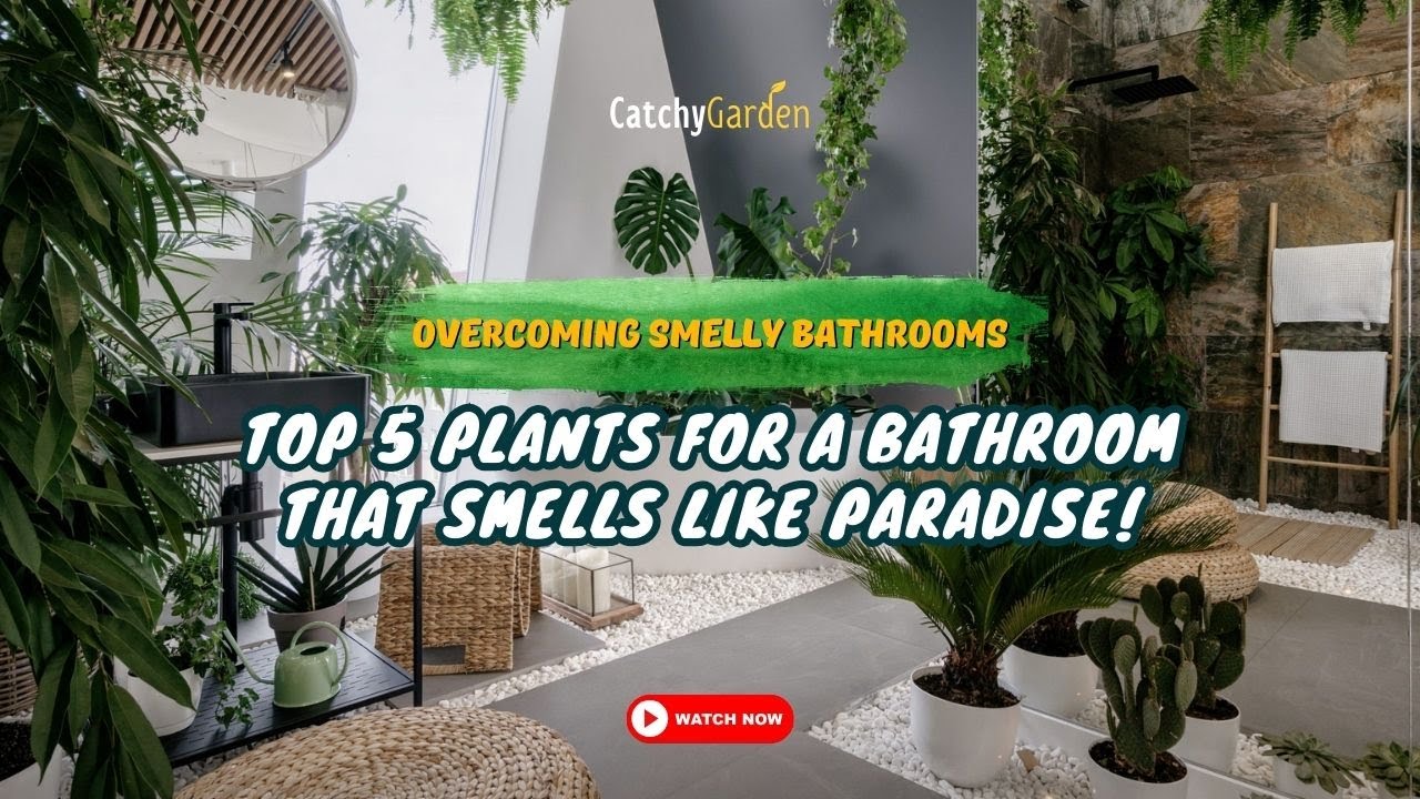 Top 5 Plants for a Bathroom That Smells Like Paradise! 🌸🌿👍 // Gardening ...