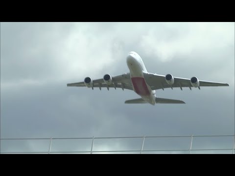 Vidéo: Un Bagagiste A été Renvoyé Pour Avoir Volé Les Bagages D'un Passager
