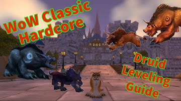 WoW Classic Hardcore Druid Leveling Guide