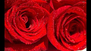 Download lagu J.Fla - It Ain't Me {Slowed} {One Hour}