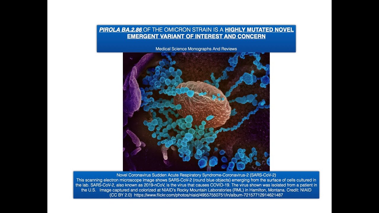 PIROLA BA 2 86 OF THE OMICRON STRAIN IS A HIGHLY MUTATED NOVEL EMERGENT VARIANT OF INTEREST AND CONC