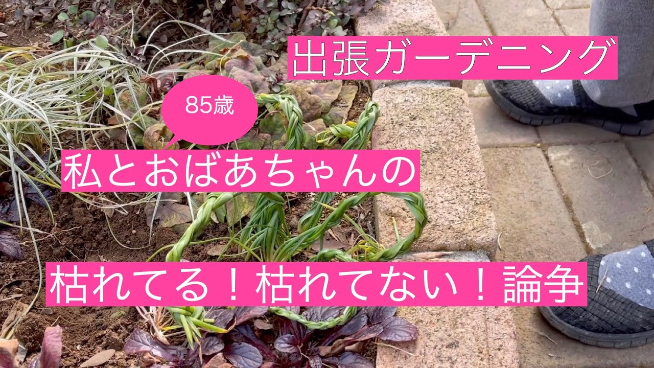 On-site Gardening] My 85-year-old grandmother and I argue about