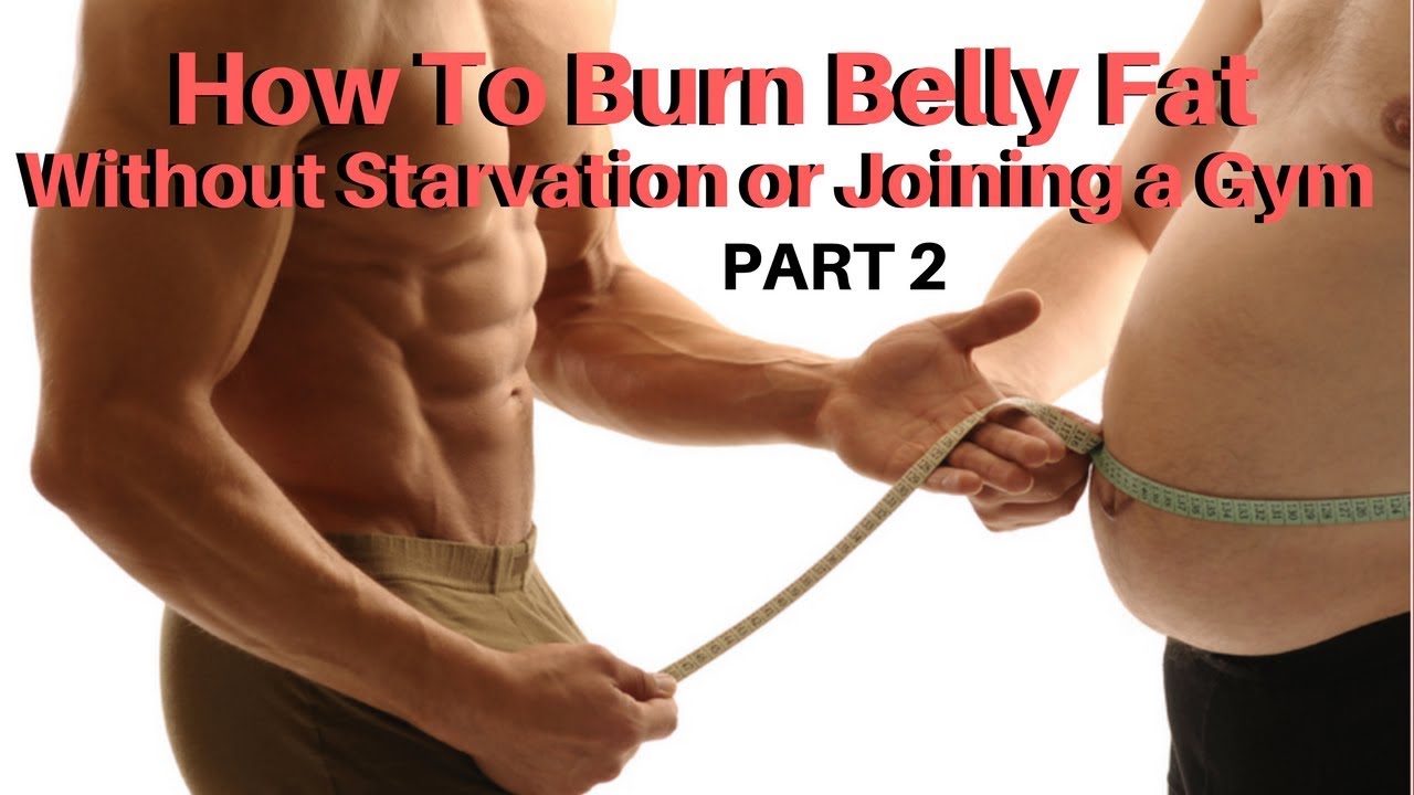 How To Burn Belly Fat Without Starvation or Hours In The Gym YouTube