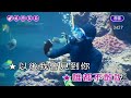 巧合 鳳飛飛 女原D調 伴奏 導唱 無live鼓甲 巧合 鳳飛飛 女原D調 伴奏 導唱 無live鼓甲