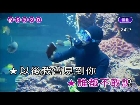 巧合~鳳飛飛~女原D調~伴奏~導唱~無live鼓甲