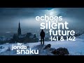 Echoes of a silent future 141  142