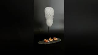 Celebrity Edible bubbles and foam by Vom Net Worth