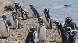 Argentina Tourist Attractions in Argentina with Photos