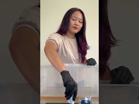 Fabric Dye Companies Near Me