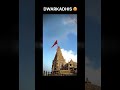 Day 10 Dwarkadhis 🙏 #dwarkadhish  #status  #dwarkadhishstatus #devbhumidwarka