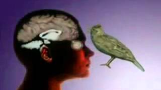 Perception  The reality beyond matter