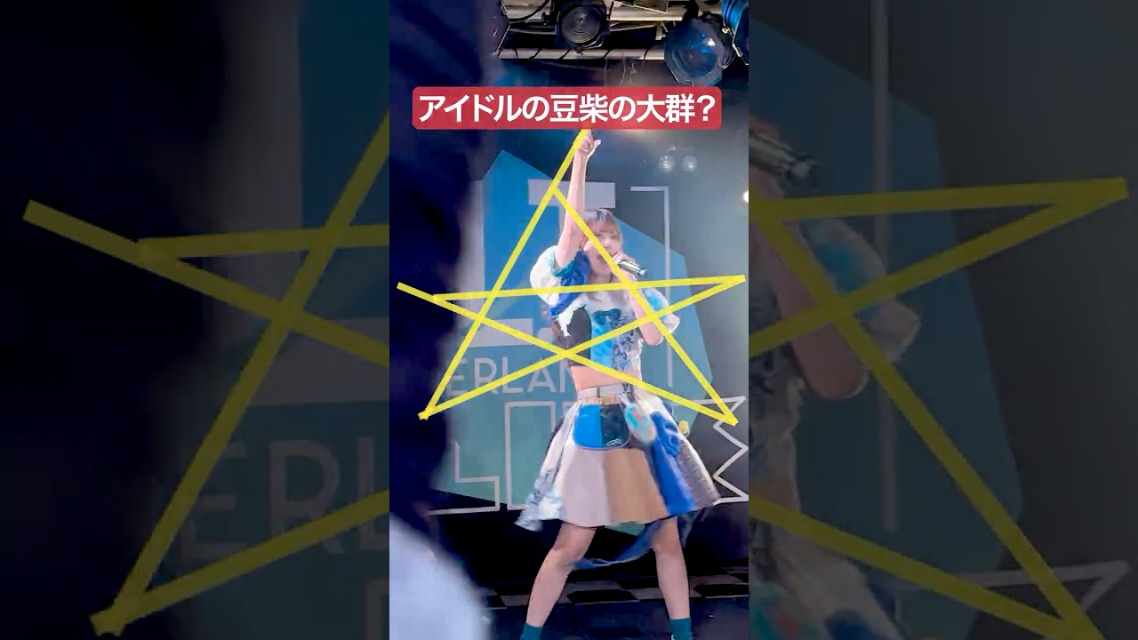 アイドルの一番好きな星は？おもしろ 推しカメラ #豆柴の大群 #アイカ・ザ・スパイ #アイドル #idol #おすすめ #推し活 #撮影可能ライブ